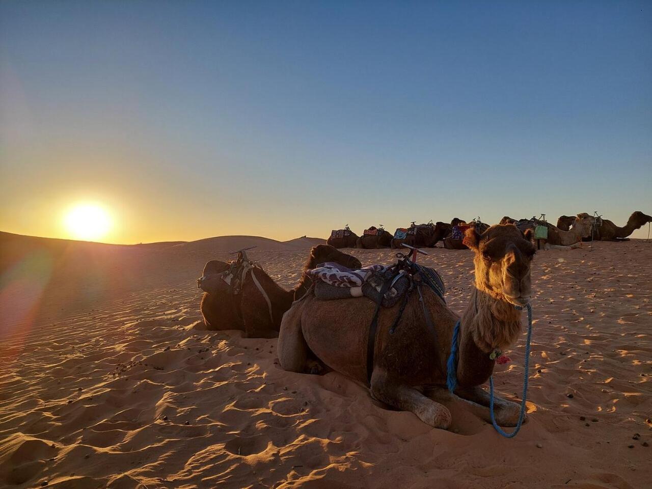 Desert Experience Glamping Merzouga Ngoại thất bức ảnh